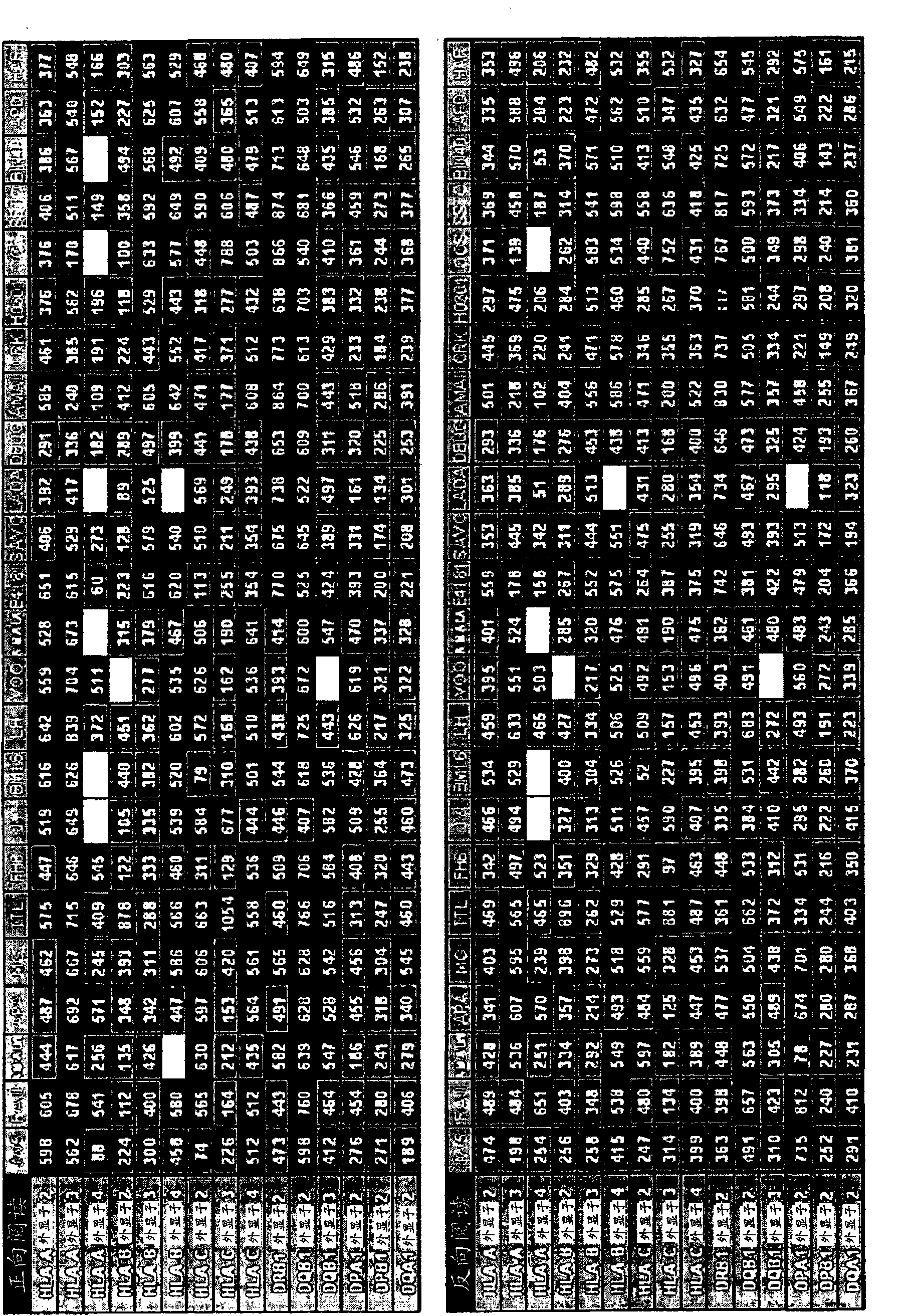 High resolution, high throughput hla genotyping by clonal sequencing