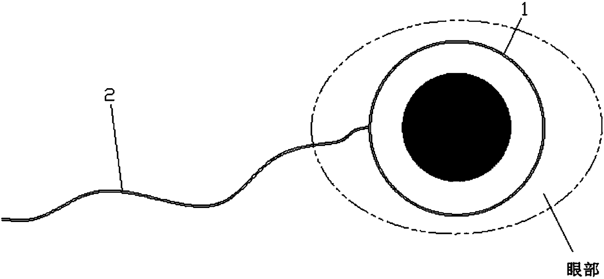 Eye electrode with shape memory function