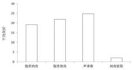 A nano-lipid ultrasound contrast agent and its preparation method