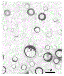 A nano-lipid ultrasound contrast agent and its preparation method