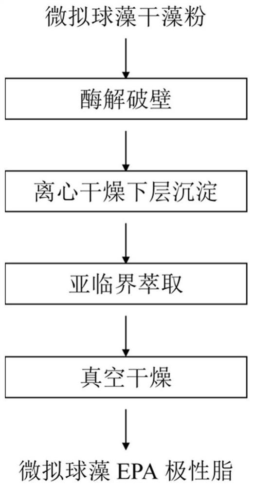 Method for extracting nannochloropsis oculata EPA polar lipid under assistance of enzyme treatment