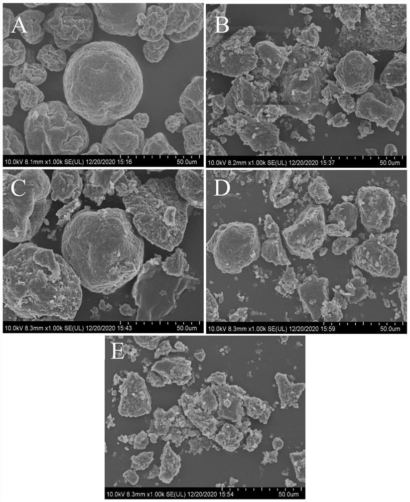 Method for extracting nannochloropsis oculata EPA polar lipid under assistance of enzyme treatment