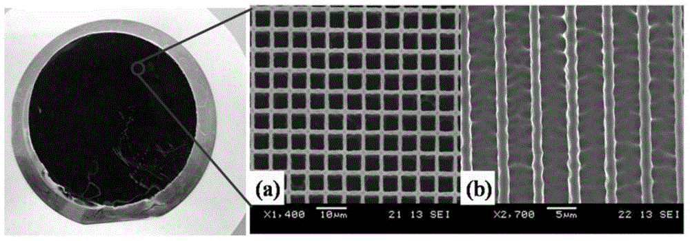 Method for growing graphene in silicon micro-channel plate