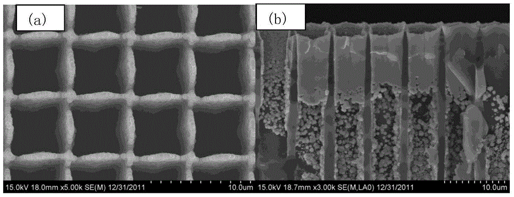 Method for growing graphene in silicon micro-channel plate
