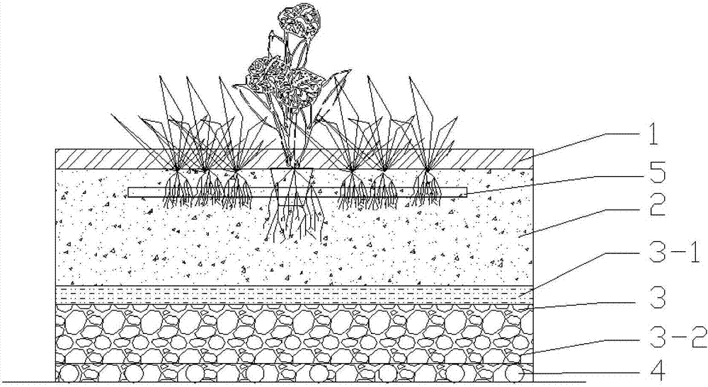 Saline-alkali soil plant planting system