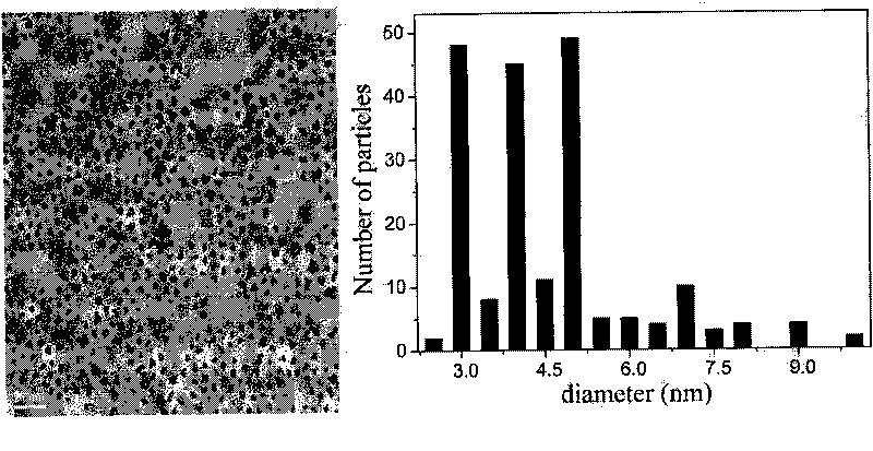 Amphipathic super-paramagnetic and magnetically resonant contrast agent and preparation method thereof