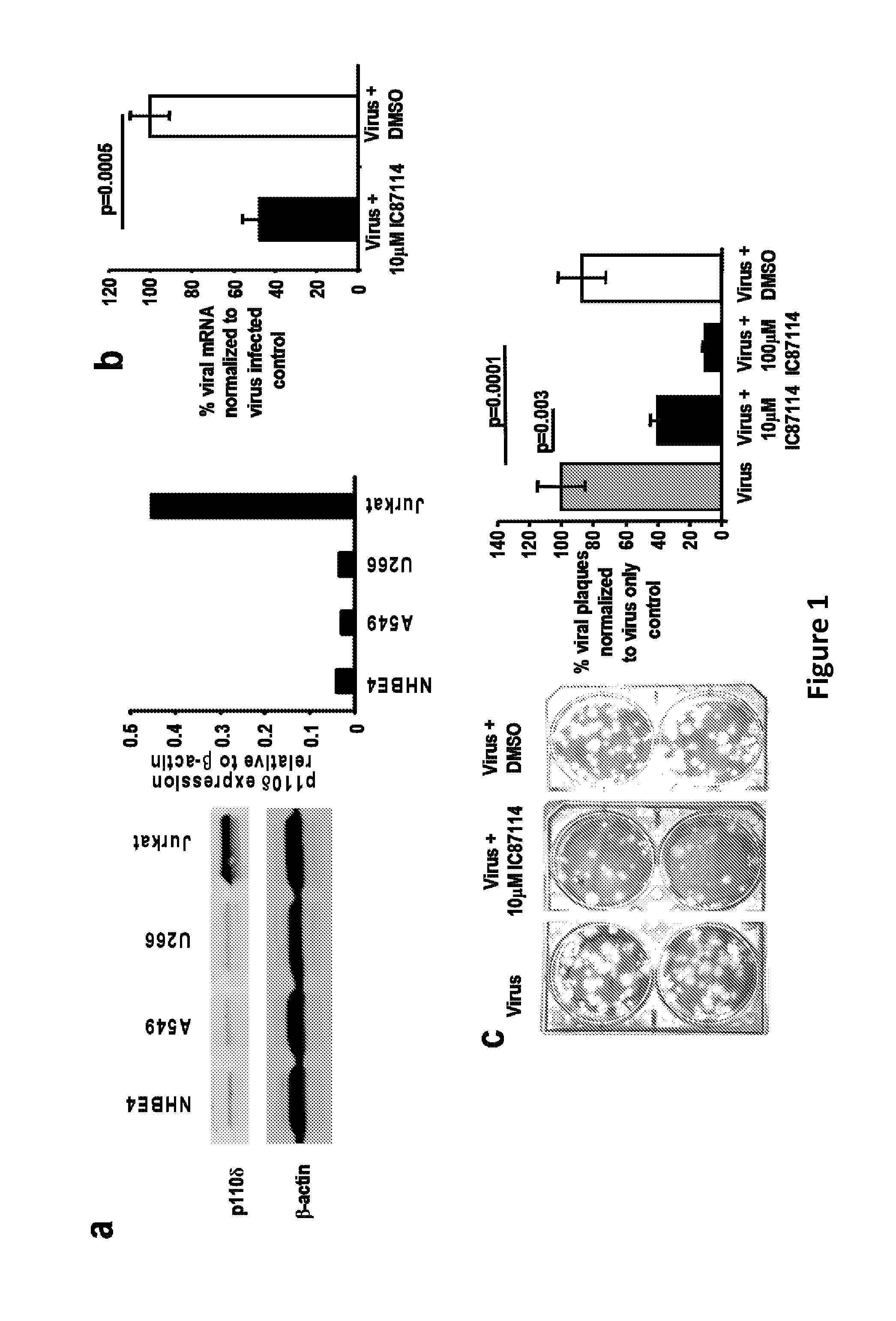 NOVEL P13K p110 INHIBITORS AND METHODS OF USE THEREOF