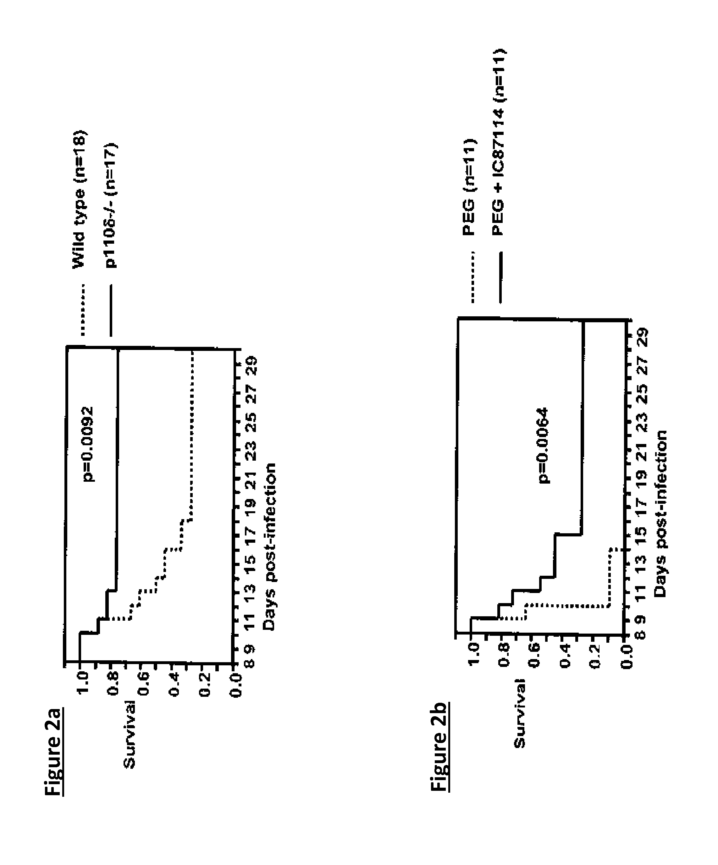 NOVEL P13K p110 INHIBITORS AND METHODS OF USE THEREOF