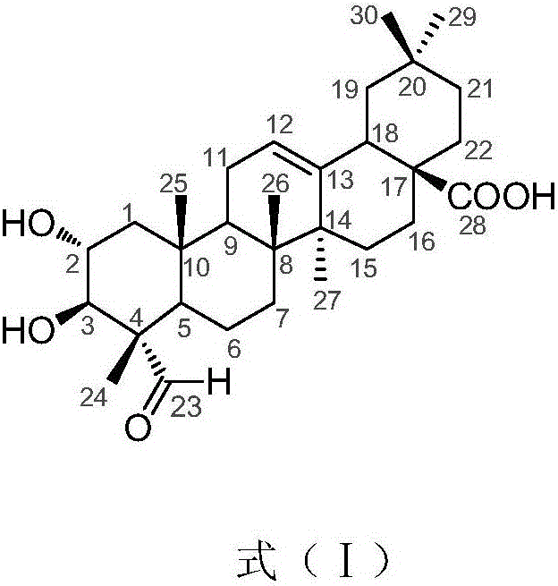 Application of compound 2alpha,3beta-dyhydroxy-23-formyl-olive-12-ene-28-acid in preparation of glycosidase inhibitor medicine