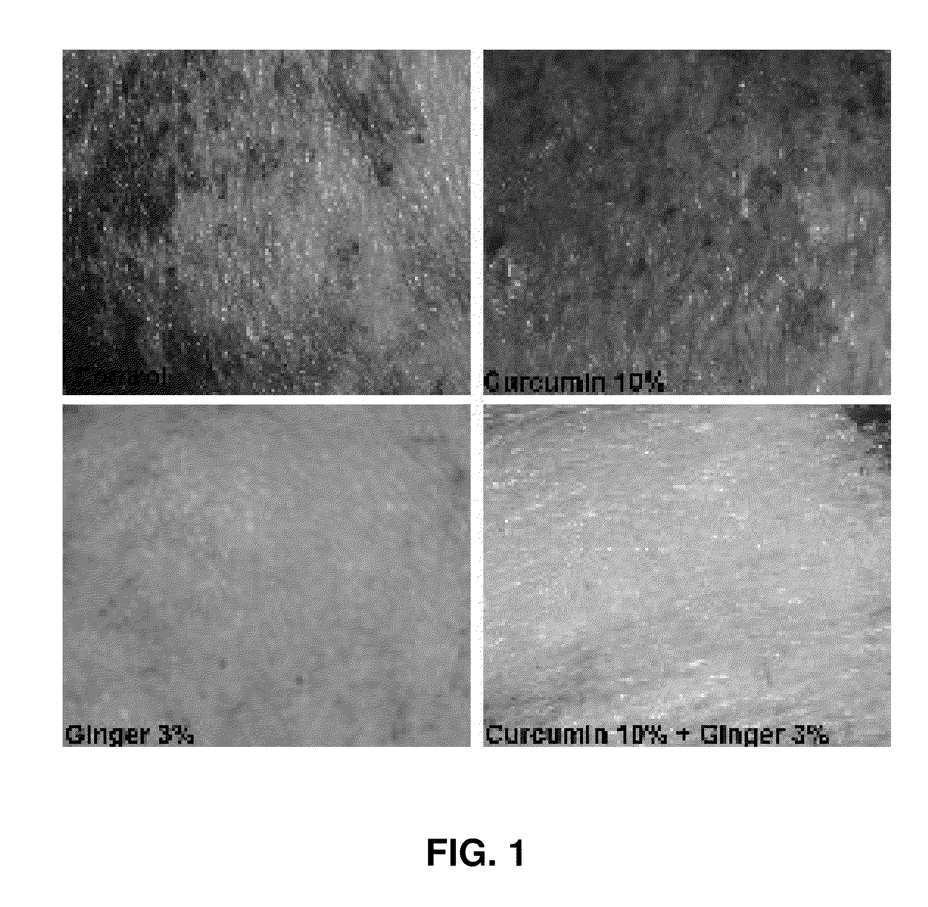Botanical composition for enhanced skin repair and uses thereof