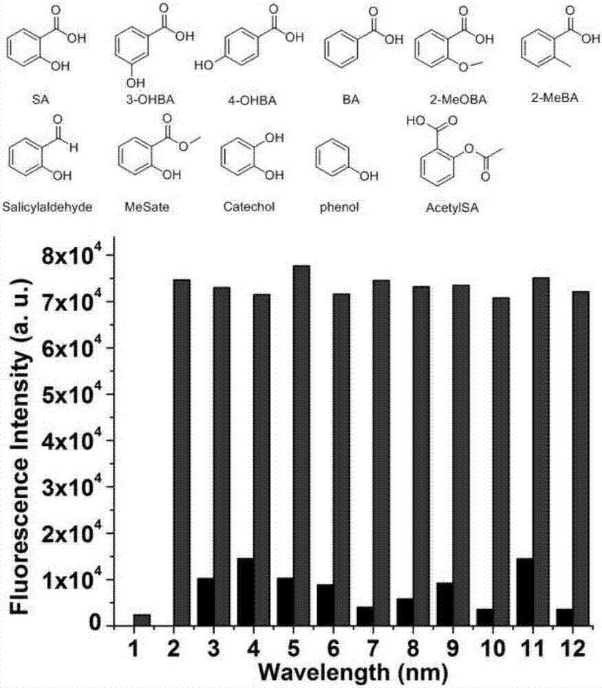 Preparation of copper ion complexing type fluorescent molecule probe, and application of copper ion complexing type fluorescent molecule probe in detection of salicylic acid