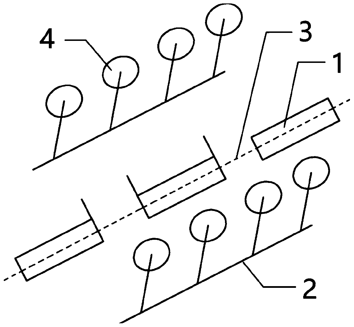 Secondary cultivation method capable of utilizing tea tree pruned branches and leaves in situ for tea garden ganoderma lucidum