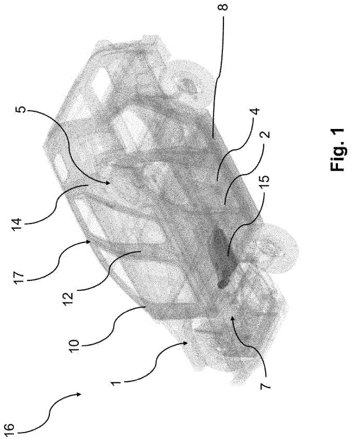 Front structure for an electric vehicle