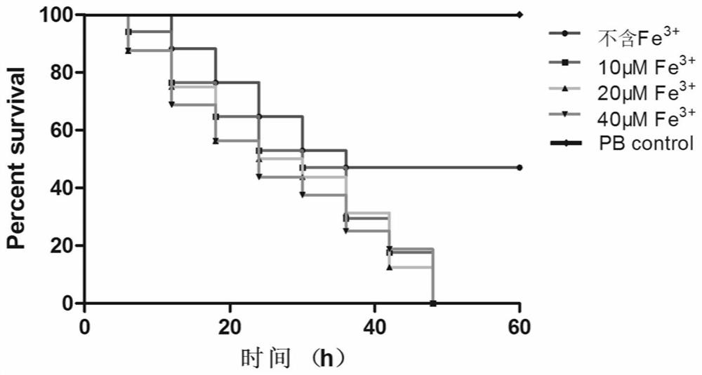 A method for screening drugs against pan-drug-resistant Acinetobacter baumannii using Caenorhabditis elegans