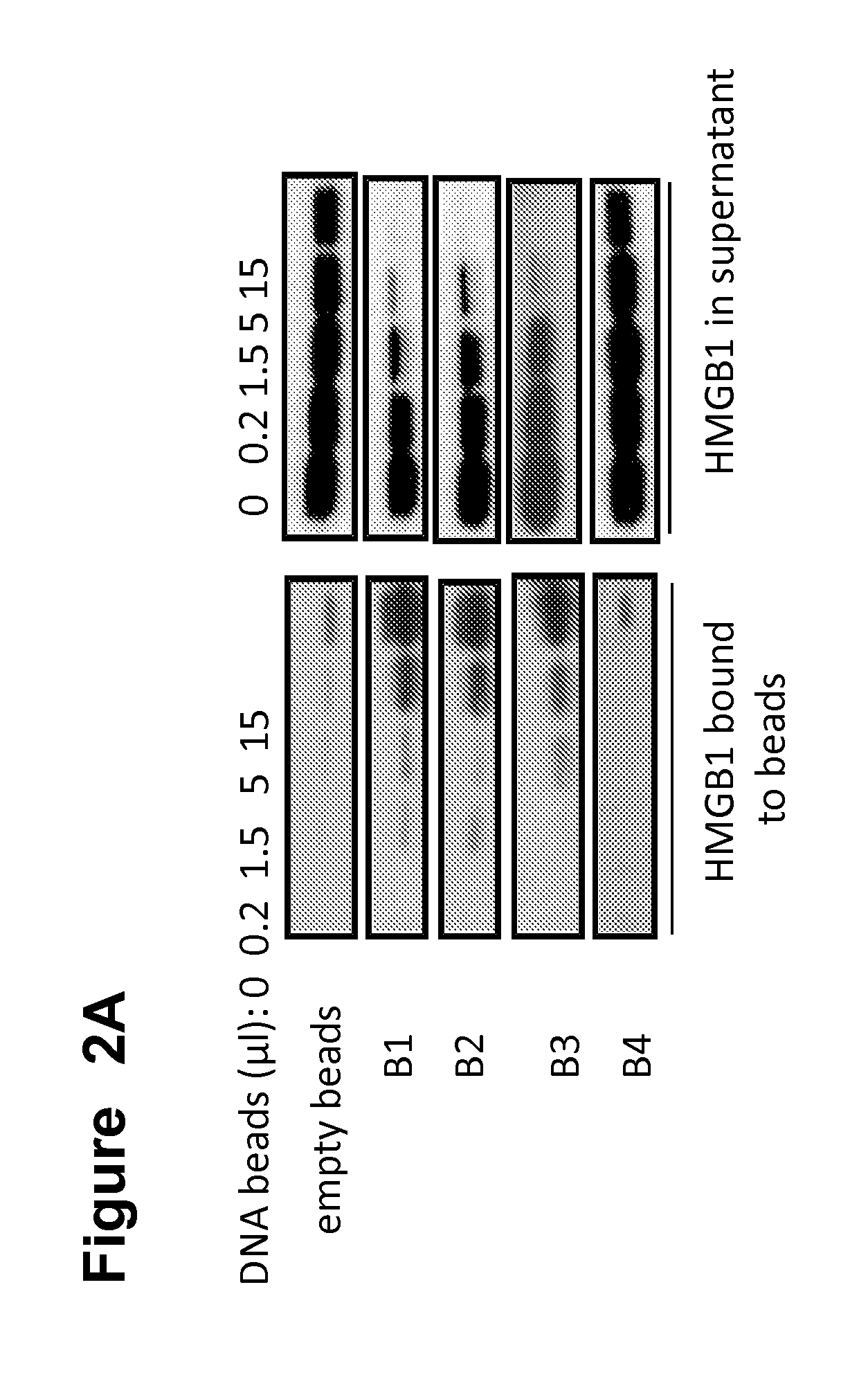 Hmgb1-binding beads and uses thereof