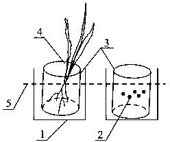 Vegetation recovery method for water front hard protection slope