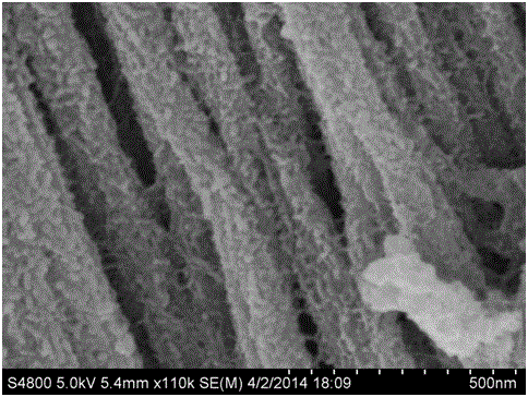 Co3O4@PEDOT porous nanorod material with core-shell structure and preparation method of Co3O4@PEDOT porous nanorod material