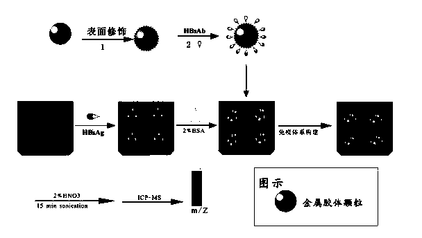 Method for detecting hepatitis B surface antigen with inductively coupled plasma mass spectrometry