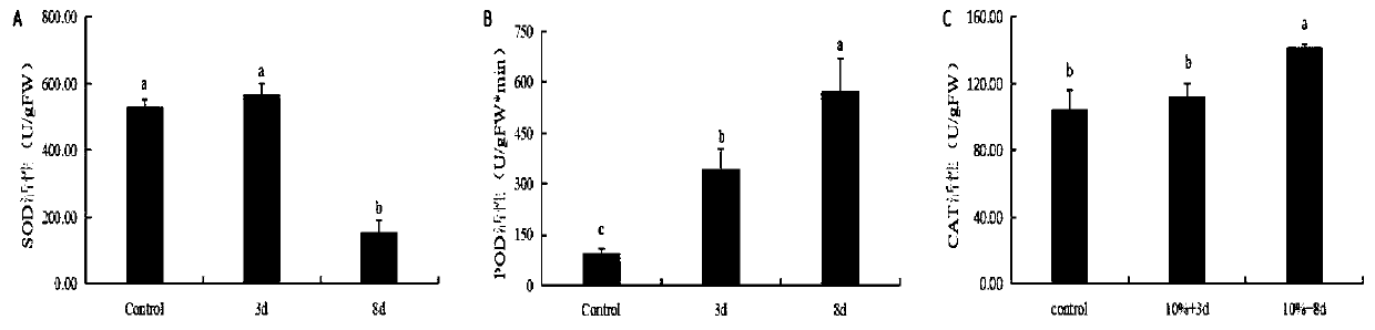 Plant essential oil protective agent and method for ameliorating salinized soil