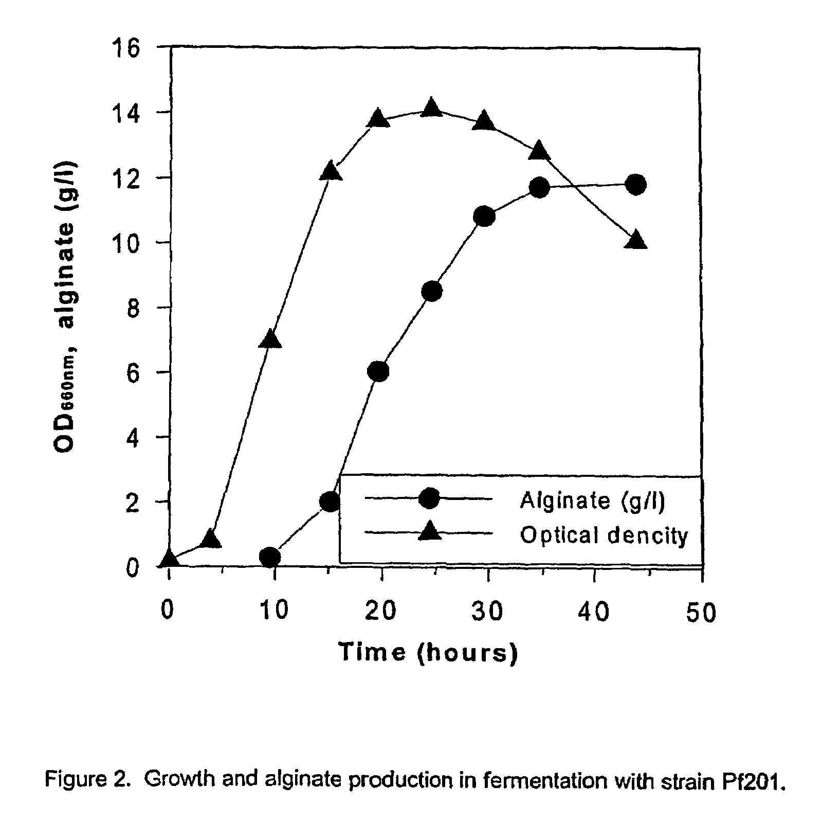 Mutant strains of Pseudomonas fluorescens and variants thereof, methods for their production, and uses thereof in alginate production