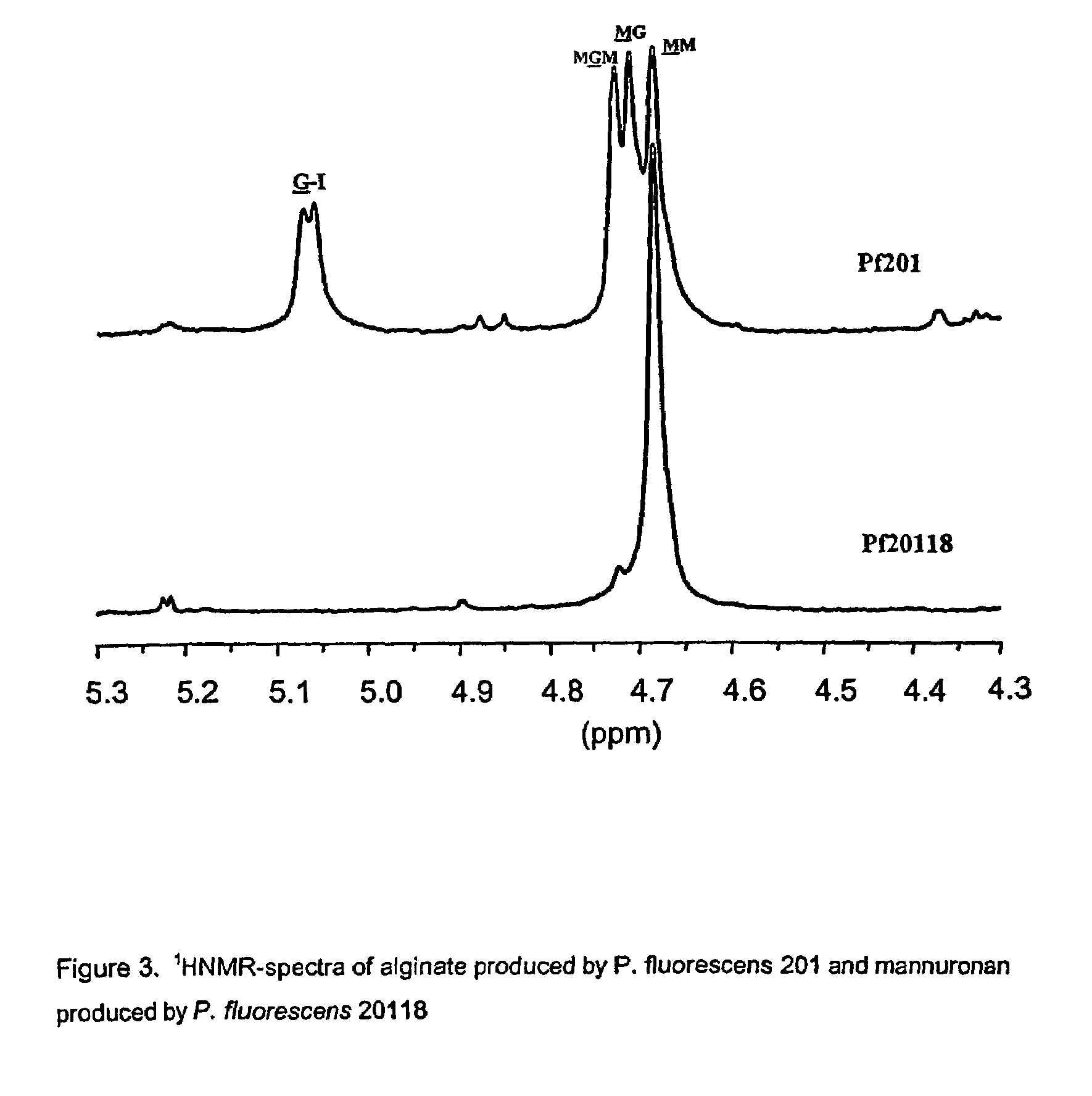 Mutant strains of Pseudomonas fluorescens and variants thereof, methods for their production, and uses thereof in alginate production