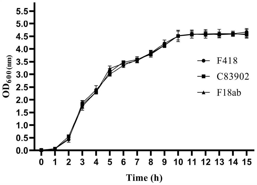 Swine Escherichia coli non-toxic isolate capable of simultaneously expressing F4 and F18 pili and application of swine Escherichia coli non-toxic isolate