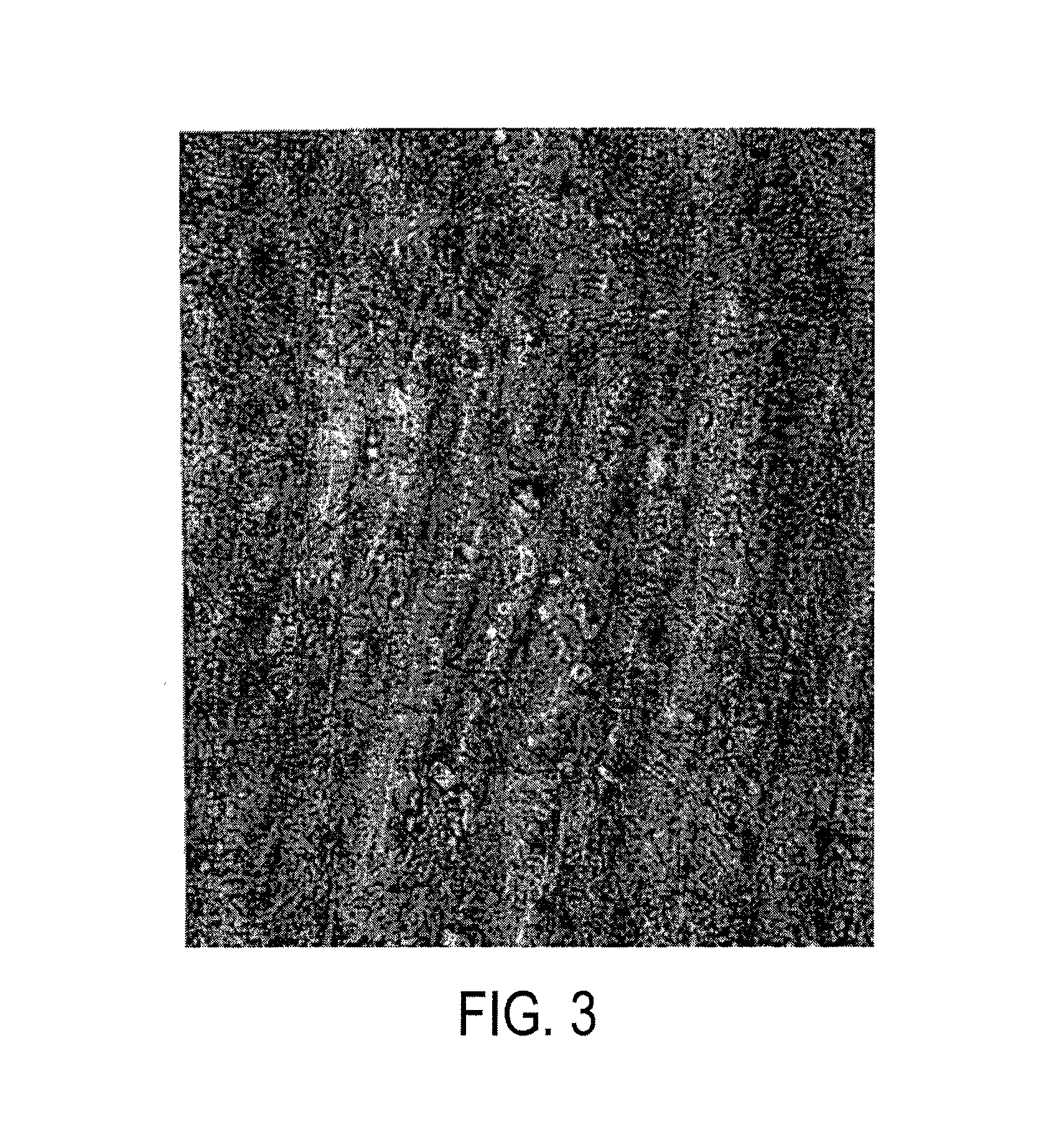 Tissue vaccines and uses thereof