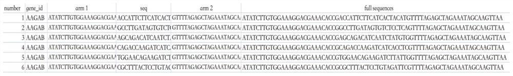 CRISPR/Cas9 library high-throughput screening method for brain metastasis related genes