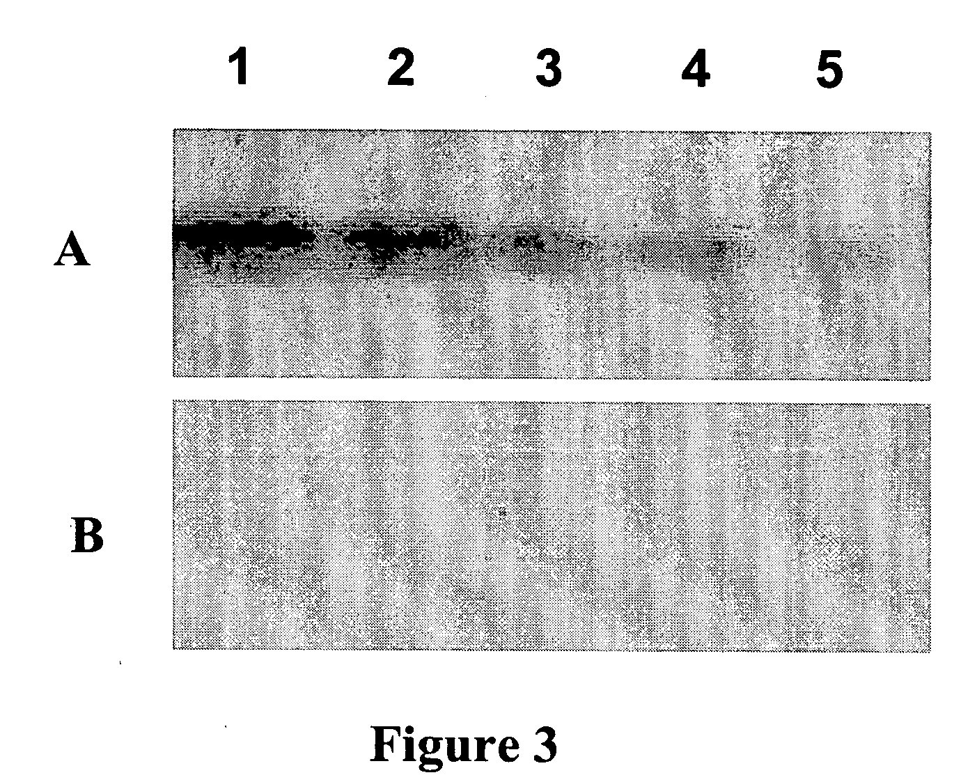 Devices and methods for profiling enzyme substrates