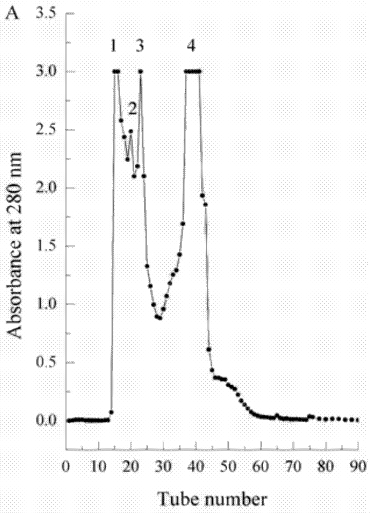 Method for separating out prostatic cancer (PC)-3 anticancer peptide by utilizing thermal reactant of setipinna taty antibacterial peptide liquid and anticancer peptide obtained by using method