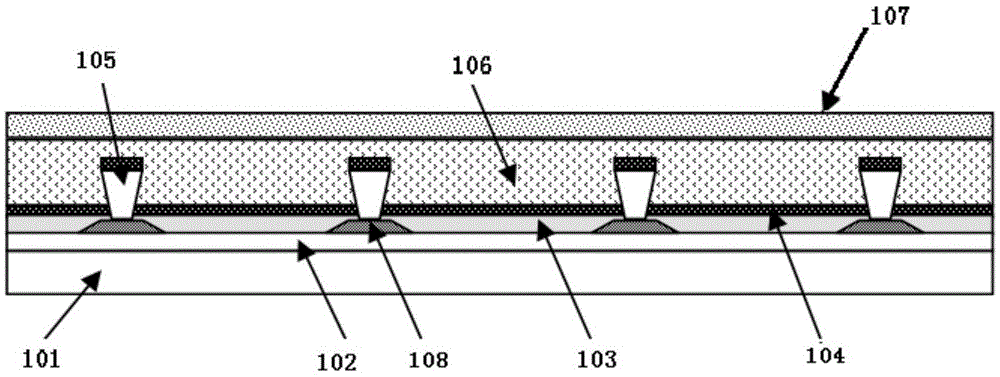 Thin film-packaged OLED screen body and preparation method thereof