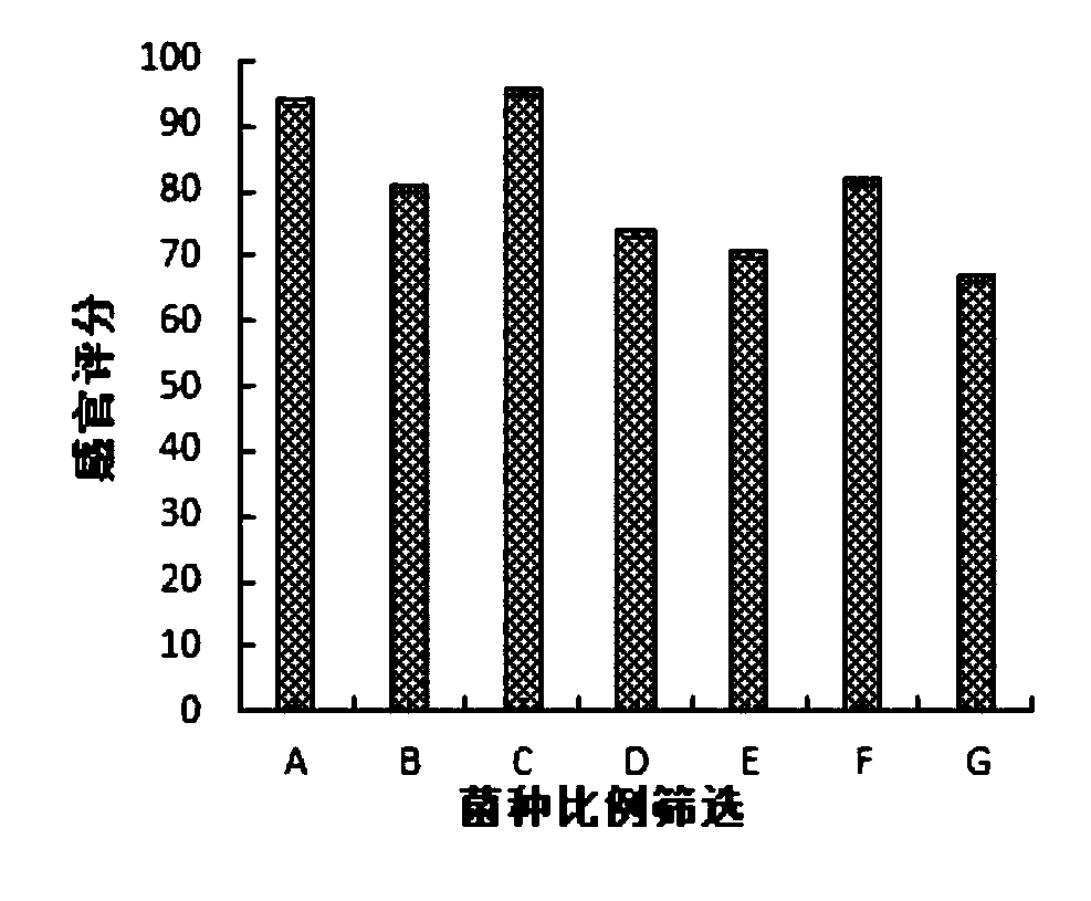 Black and red Chinese wolfberry fruit compound fermented beverage and preparation method thereof