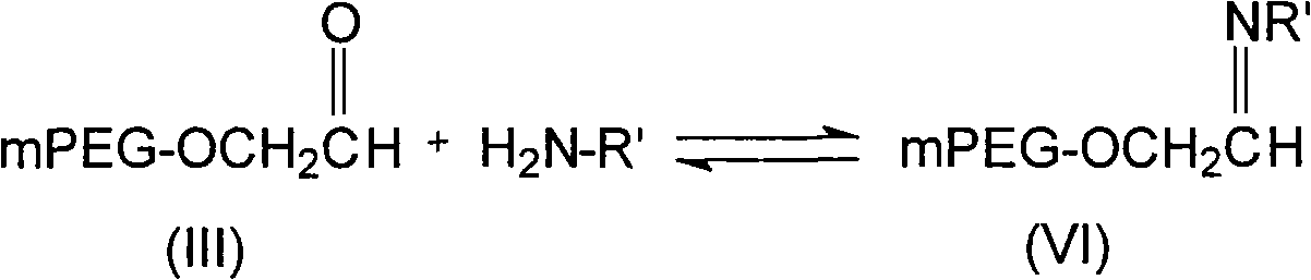 Polyethylene glycol modified nemifitide and preparation method