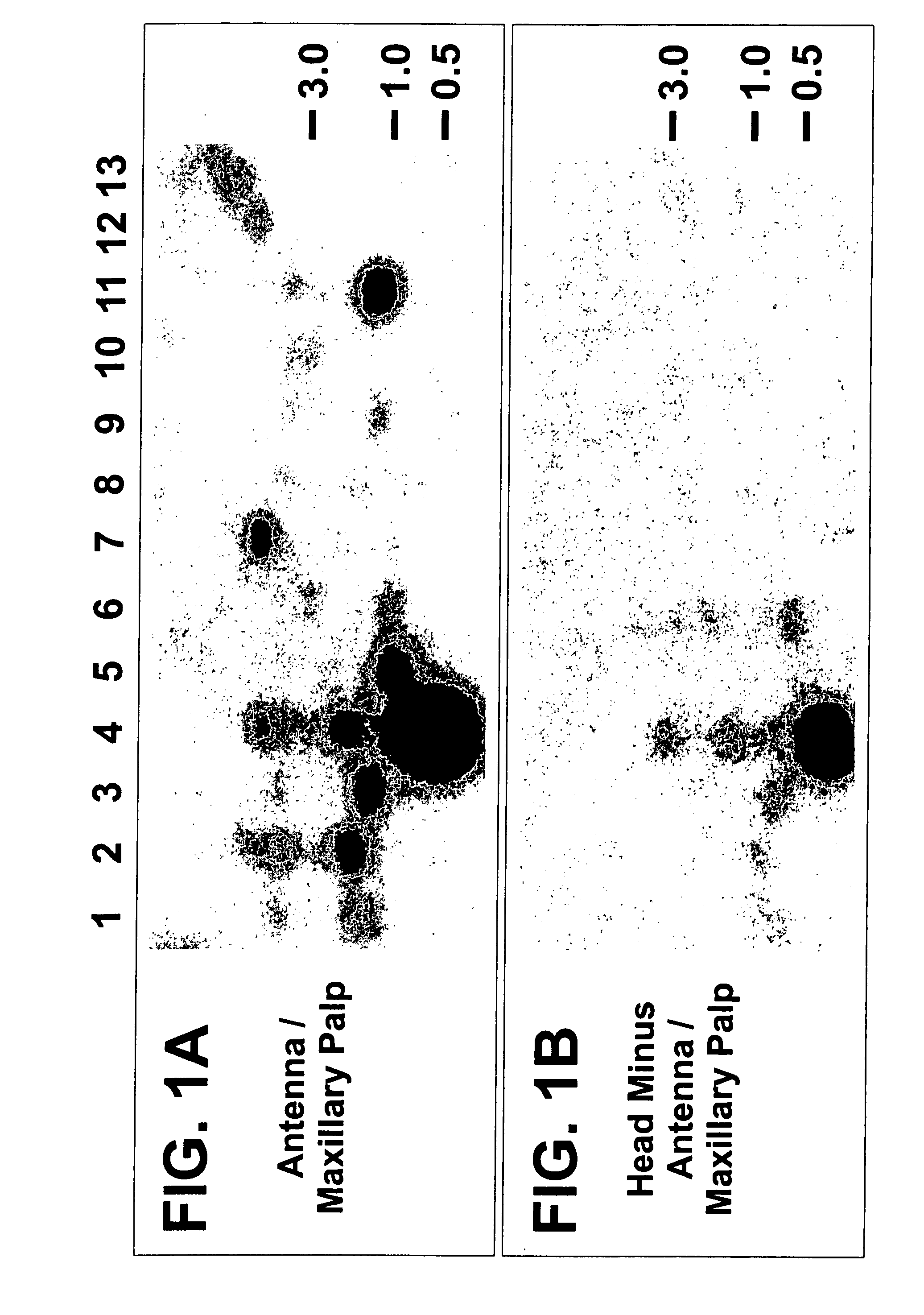 Genes encoding insect odorant receptors and uses thereof
