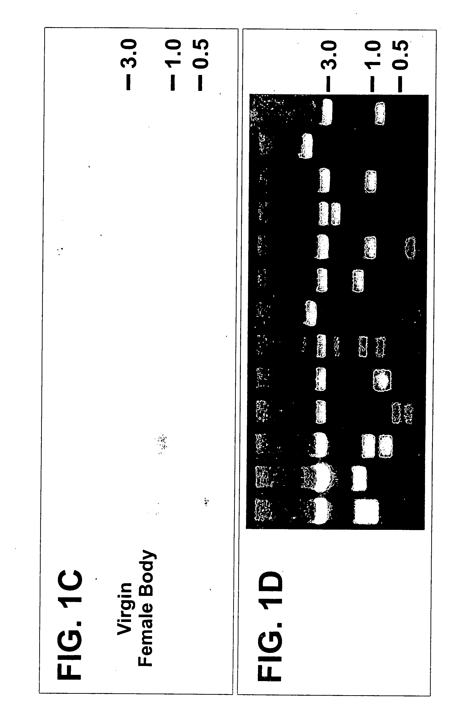 Genes encoding insect odorant receptors and uses thereof