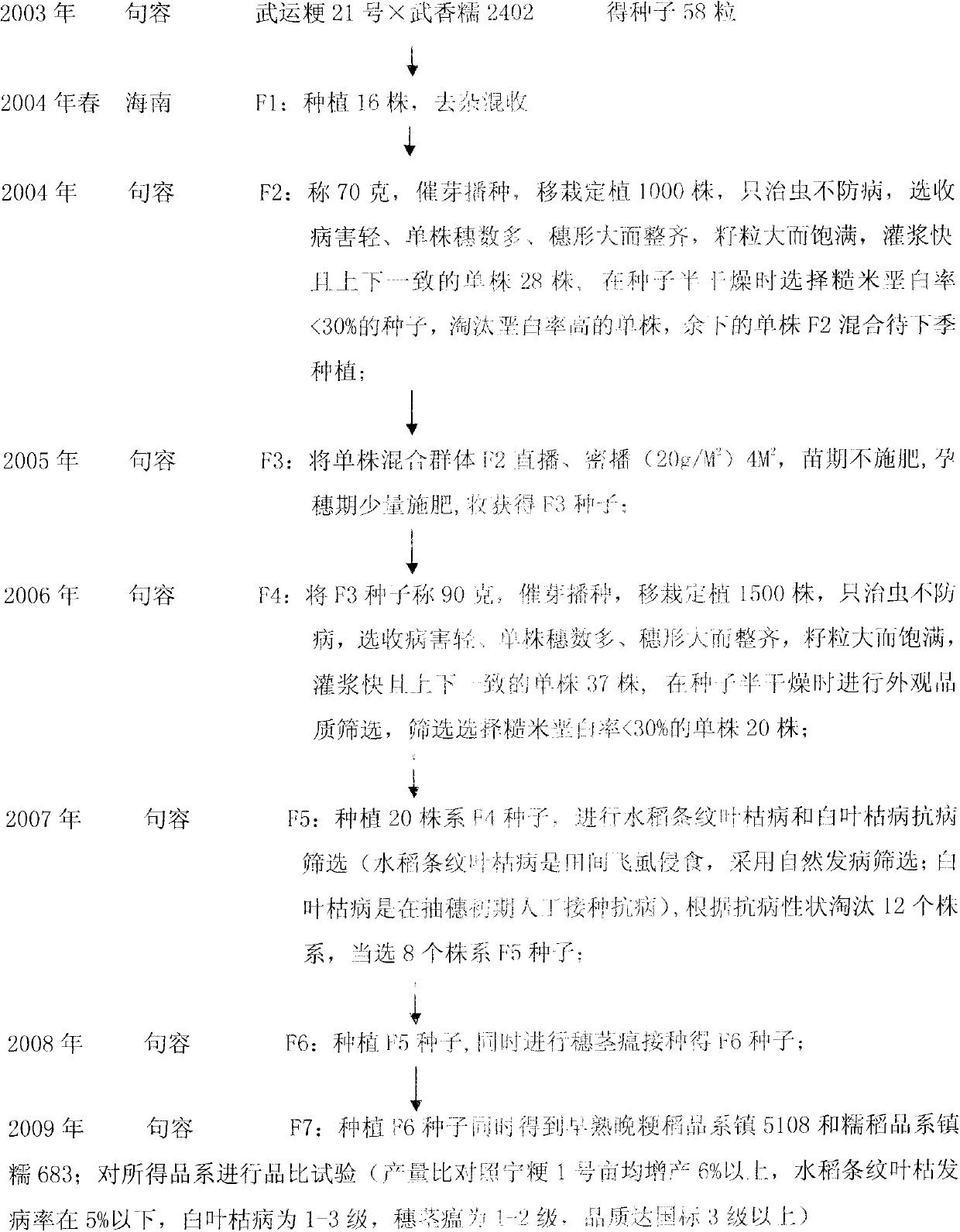 Method for breeding non-glutinous rice and glutinous rice varieties through non-glutinous rice and glutinous rice hybridization