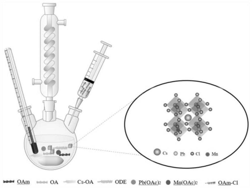 Preparation method of Mn &lt; 2 + &gt;-doped CsPbCl3 nanocrystal capable of independently changing halogen content