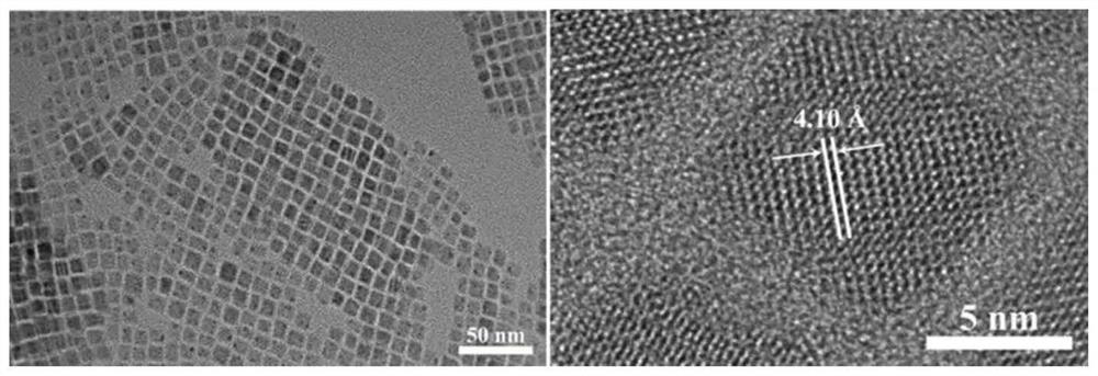 Preparation method of Mn &lt; 2 + &gt;-doped CsPbCl3 nanocrystal capable of independently changing halogen content