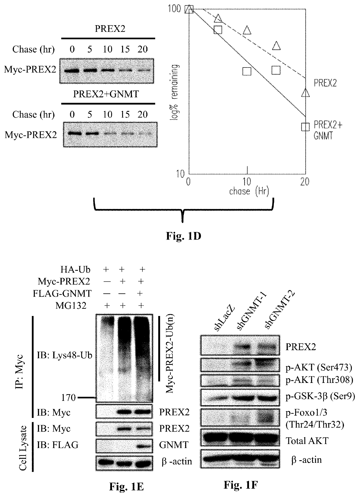 Method for determining, predicting and treating cancer