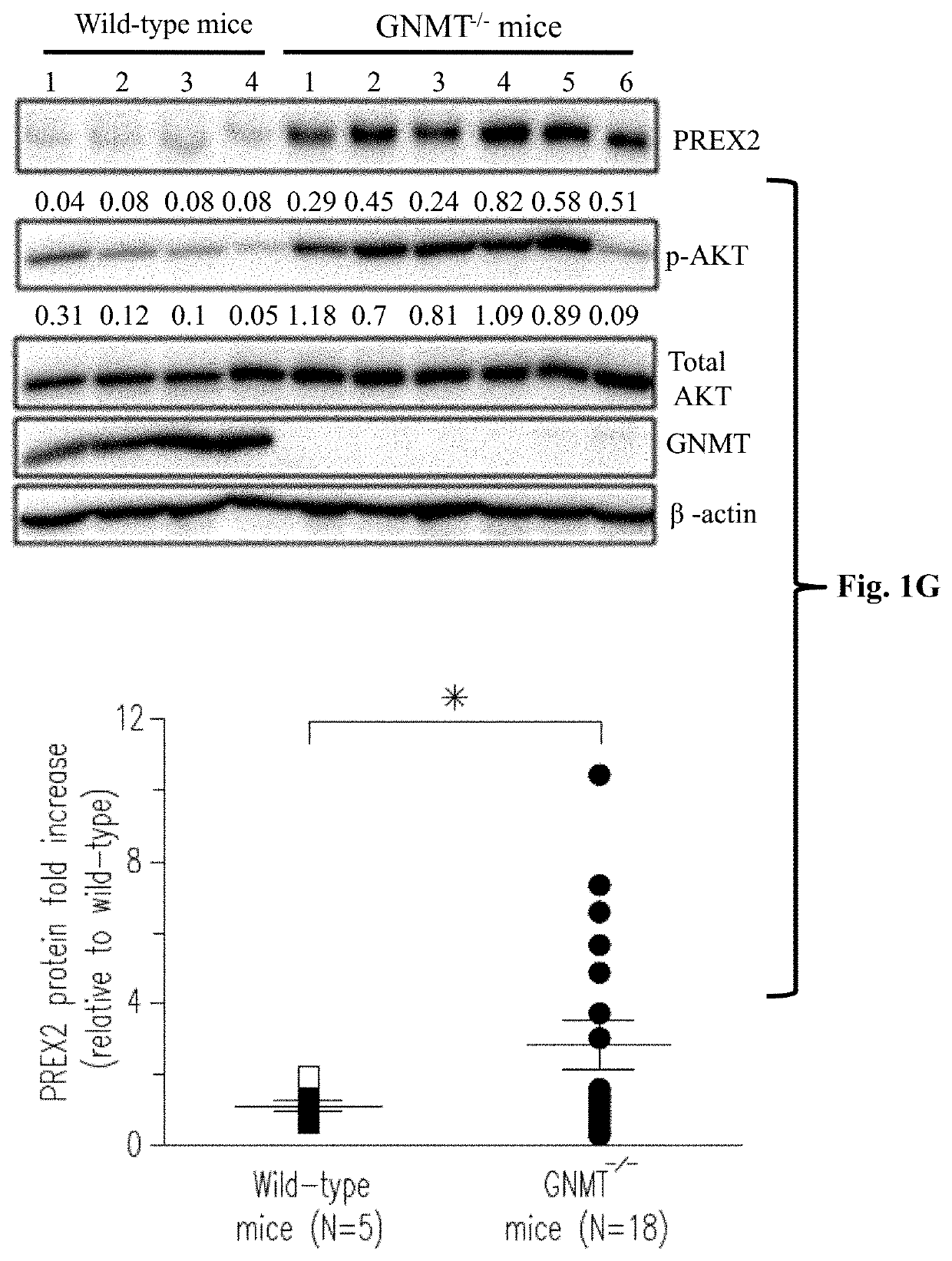 Method for determining, predicting and treating cancer