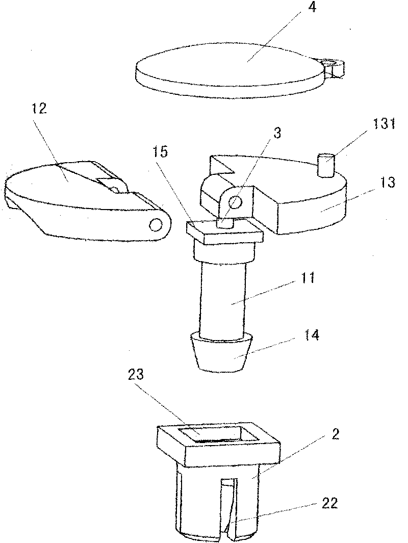 Anti-counterfeiting expandable nail