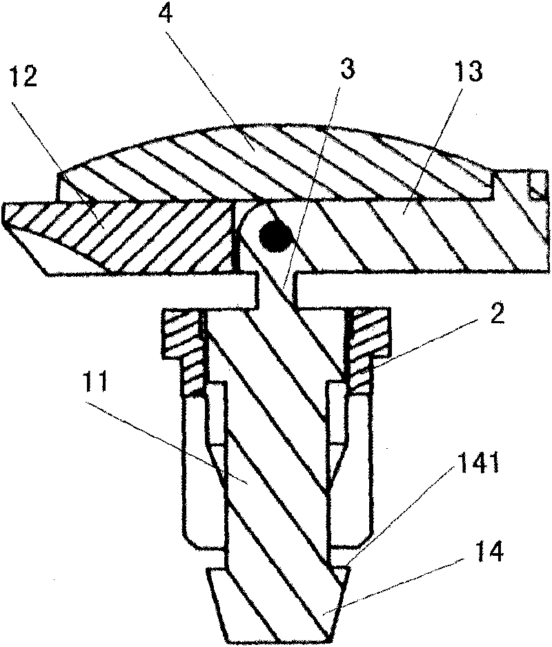 Anti-counterfeiting expandable nail