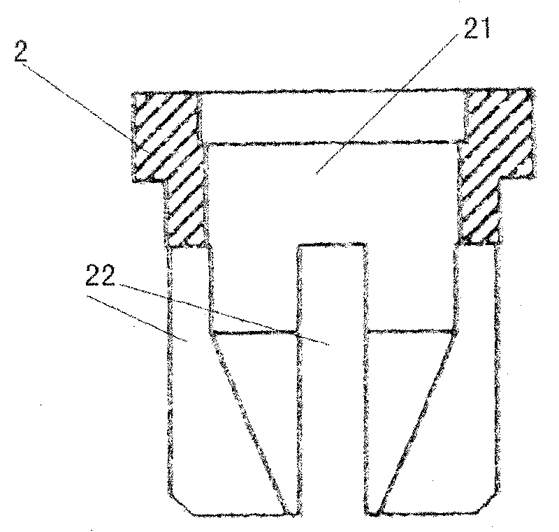 Anti-counterfeiting expandable nail