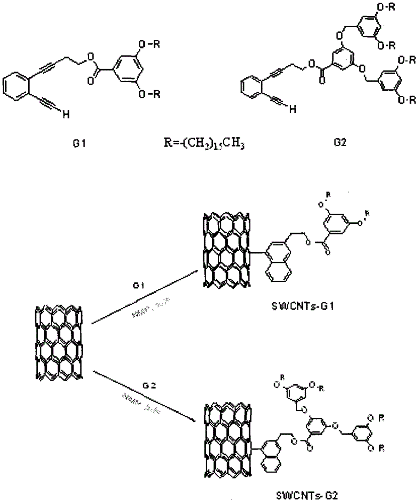 Method for synthesizing modified SWCNTs (Single Wall Carbon Nano Tubes) based on Bergman cyclizing reaction