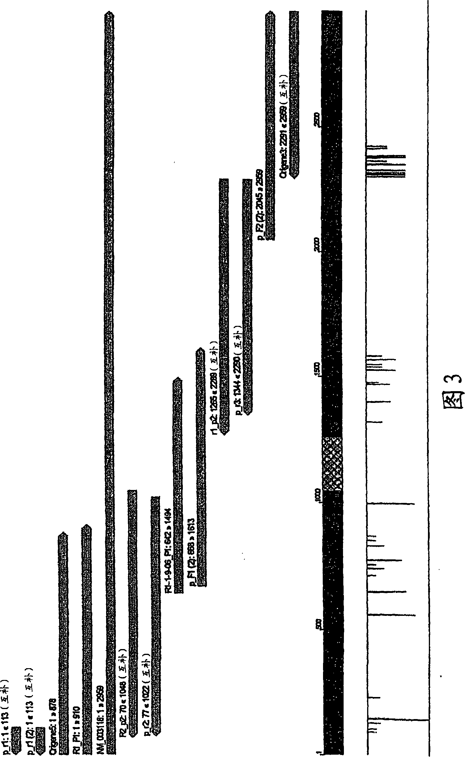 Q3 sparc deletion mutant and uses thereof