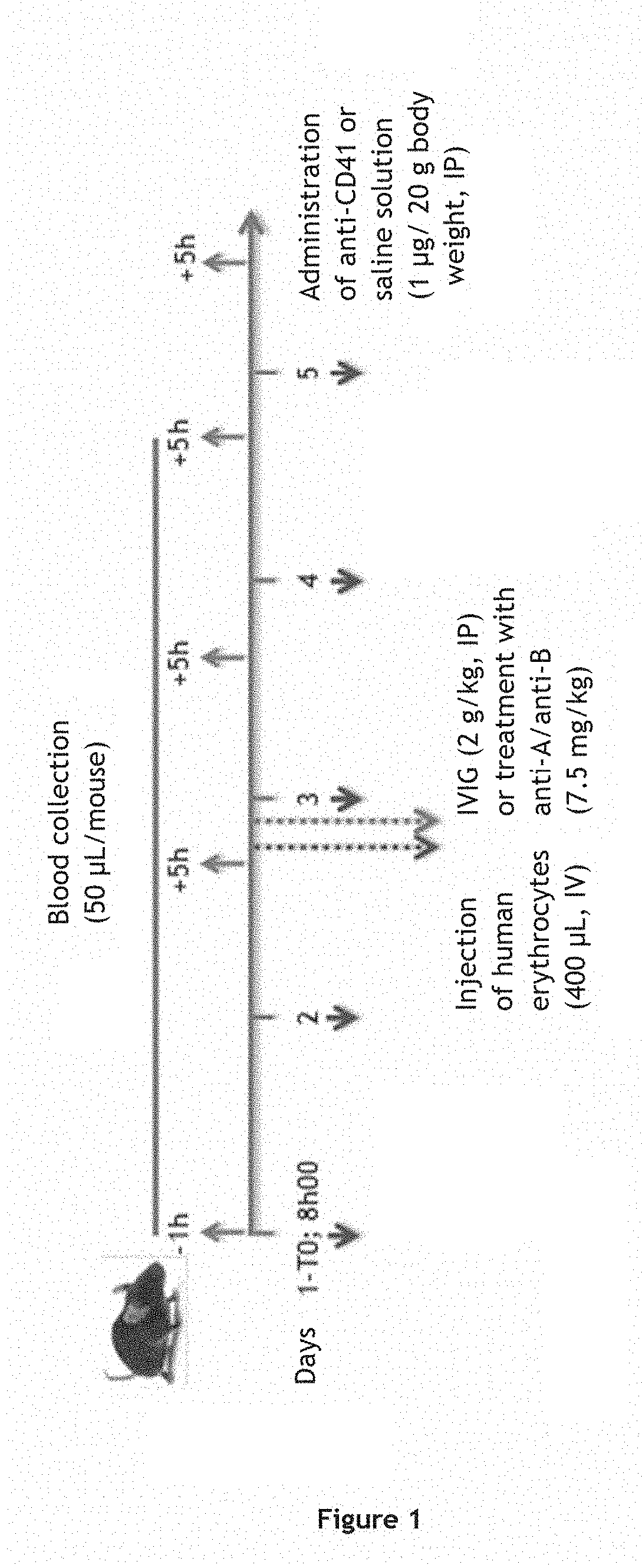 Composition enriched in Anti-a and/or Anti-b polyclonal immunoglobulins for use in the treatment of autoimmune diseases or polycythemia
