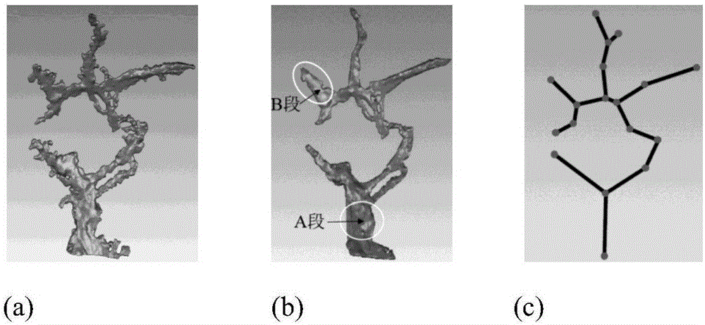 Parametric design method of defective skull tissue engineering vascular stent on the basis of microscope CT (Computed Tomography) measurement