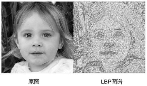 Synthetic face image evidence obtaining method based on local binary pattern and deep learning