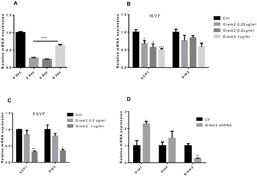 Applications of adipokine GREM2 in preparation of obesity treatment drugs