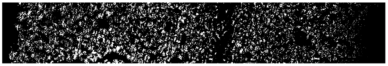 Method for separating rare earth elements from NdFeB alloy waste and directly preparing rare earth metals